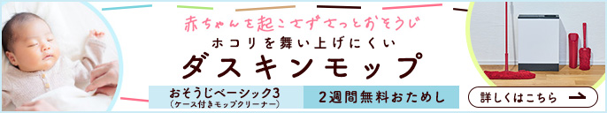 �z�R���𕑂��グ�ɂ����_�X�L�����b�v