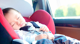 �`���C���h�V�[�g�����^�����W