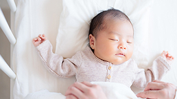 �x�r�[�x�b�h�����^�����W