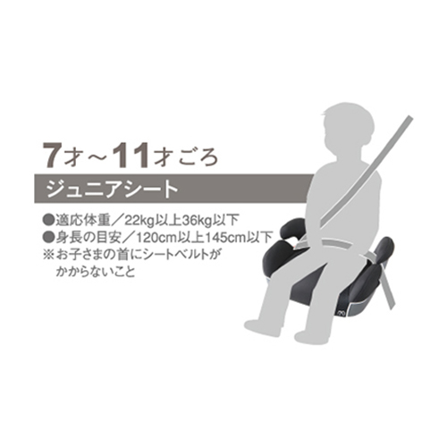 �T���b�g�n�C�o�b�N�W���j�A